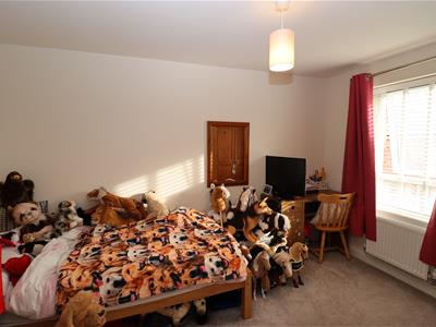 Picture 13